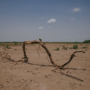The dried-up land 