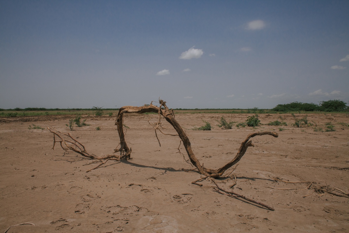 The dried-up land 