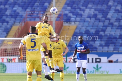 day31 Sampdoria vs Verona