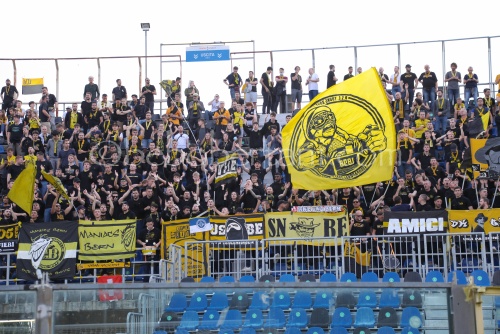 Young Boys supporters