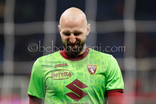 Vanja Milinkovic-Savic (Torino goalkeeper)